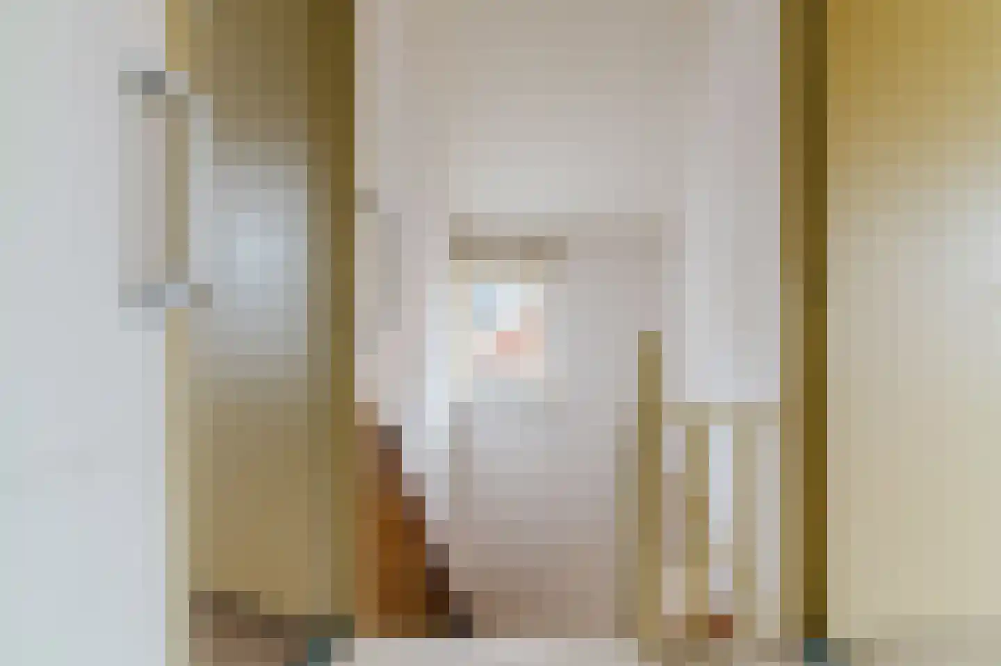 Dr G van Schouwenlaan 15 Heerenveen thumbnail 34