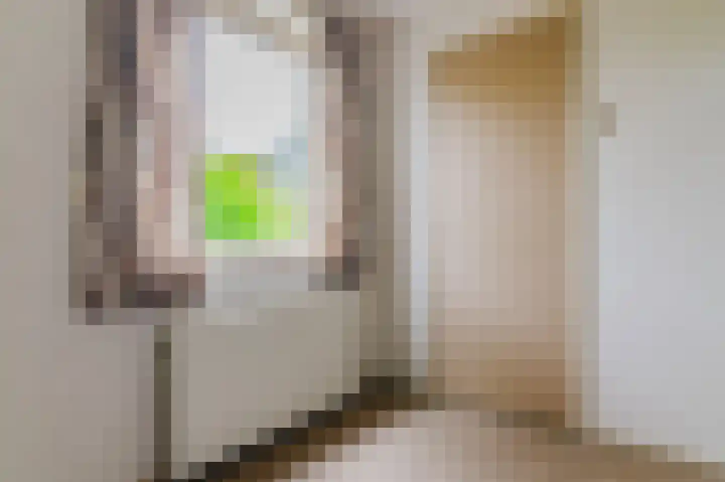 Dr G van Schouwenlaan 15 Heerenveen thumbnail 39