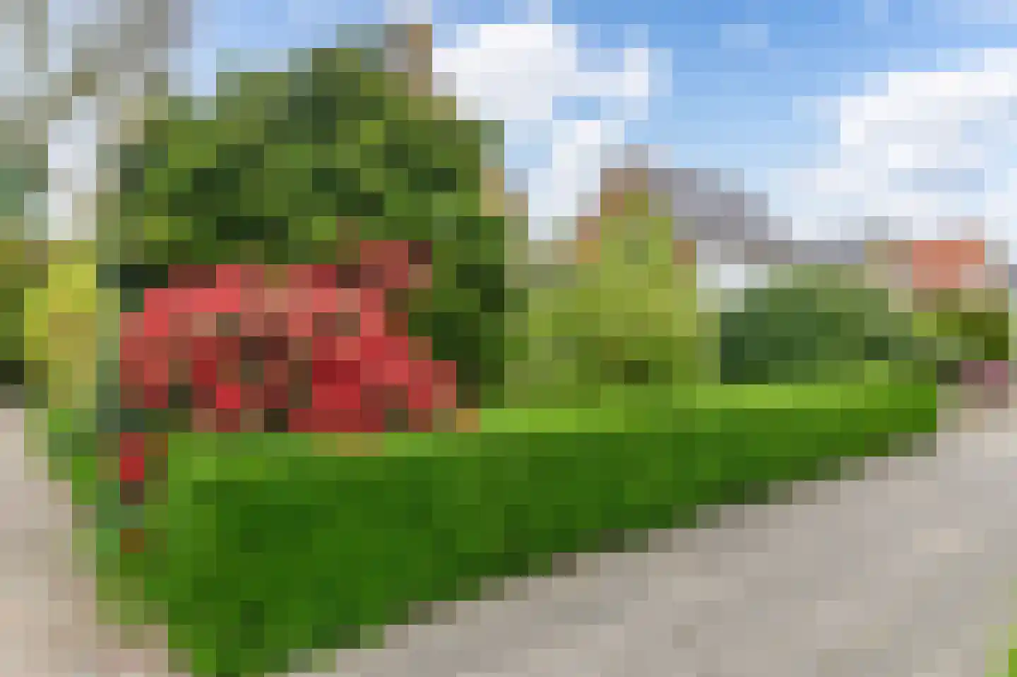 Dr G van Schouwenlaan 15 Heerenveen thumbnail 45