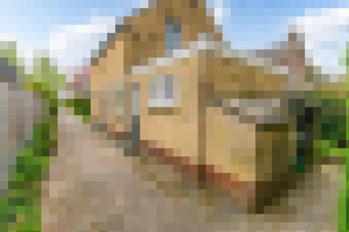 Dr G van Schouwenlaan 15 Heerenveen thumbnail 46