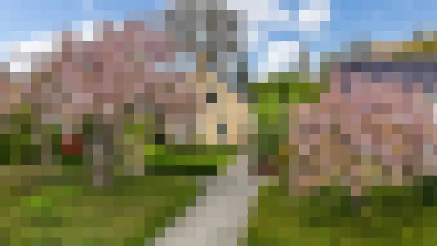 Dr G van Schouwenlaan 15 Heerenveen thumbnail 55