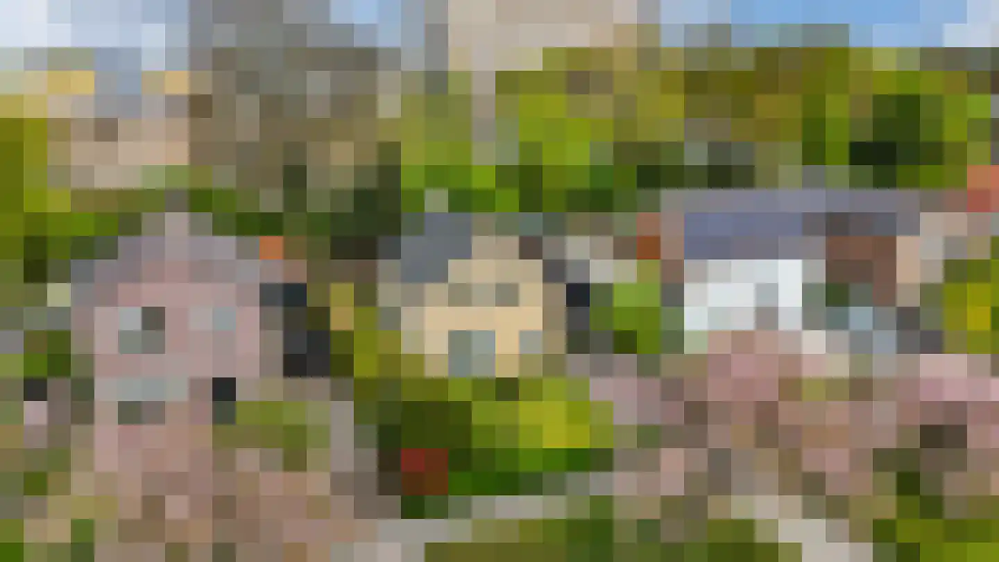 Dr G van Schouwenlaan 15 Heerenveen thumbnail 56