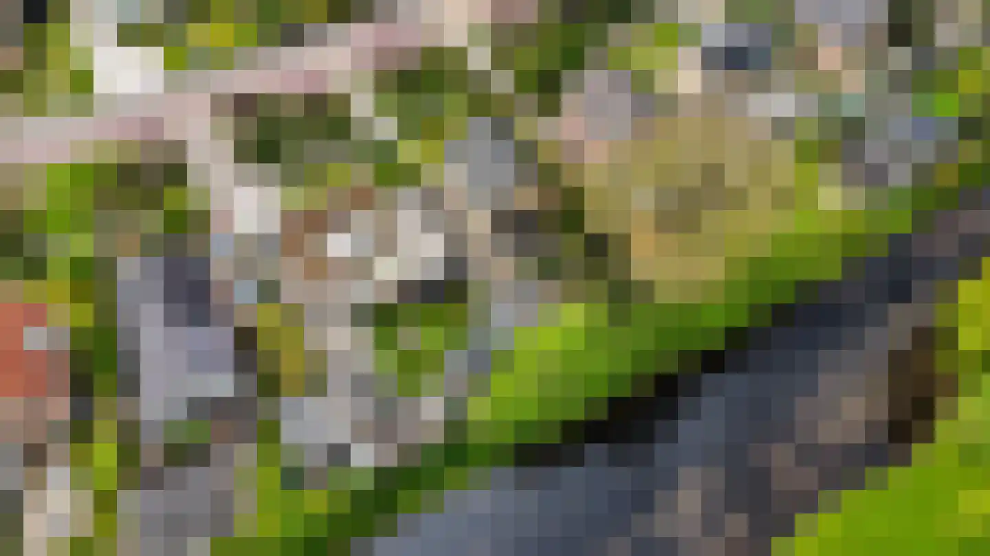 Dr G van Schouwenlaan 15 Heerenveen thumbnail 59