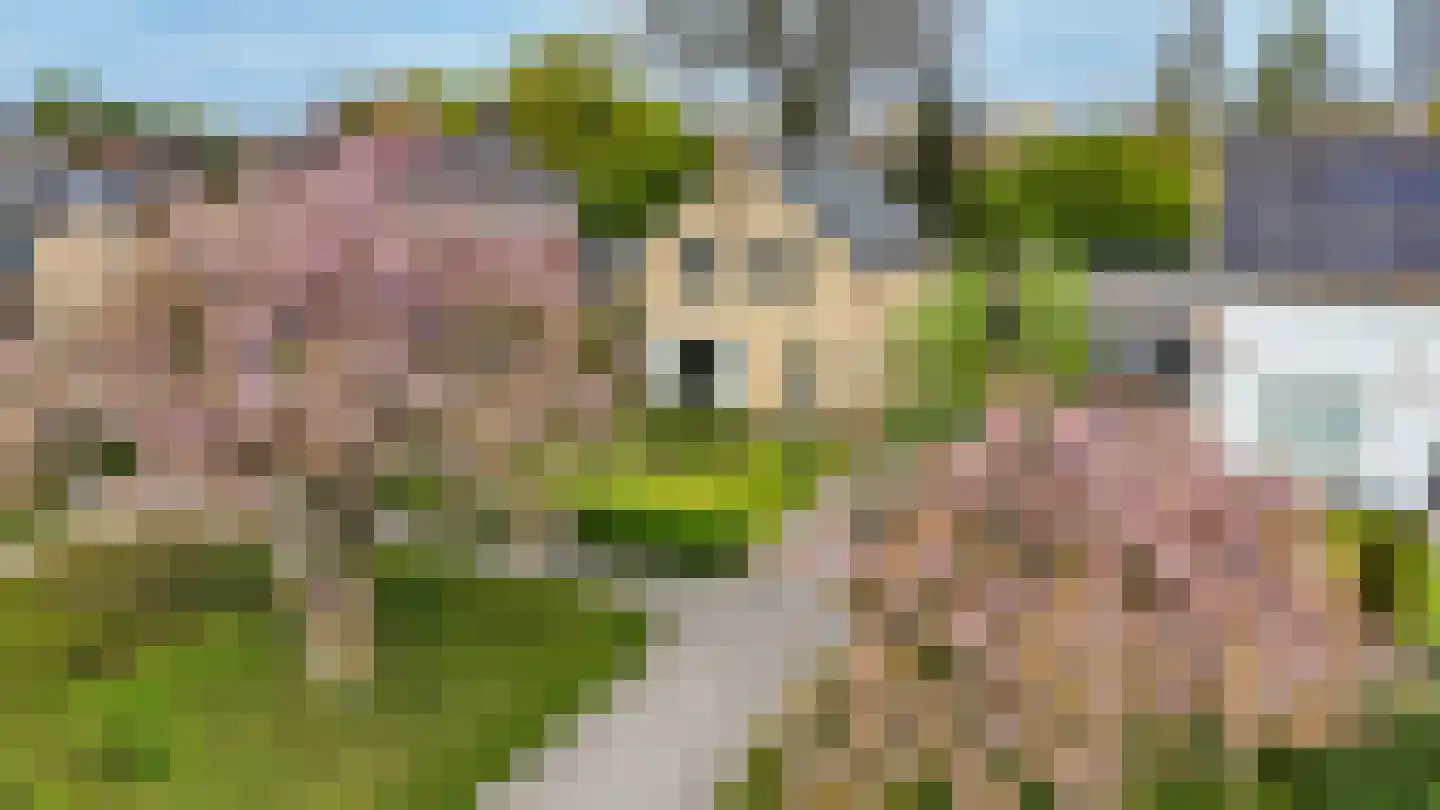 Dr G van Schouwenlaan 15 Heerenveen thumbnail 61