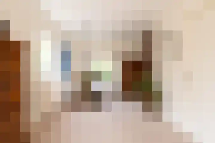 Dr G van Schouwenlaan 21 Heerenveen thumbnail 16