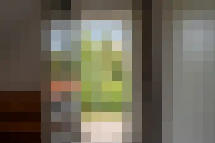 Dr G van Schouwenlaan 21 Heerenveen thumbnail 33