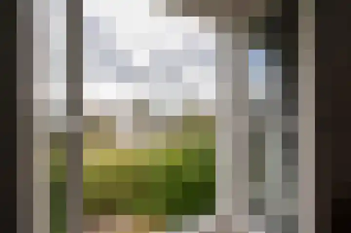 Dr G van Schouwenlaan 21 Heerenveen thumbnail 34