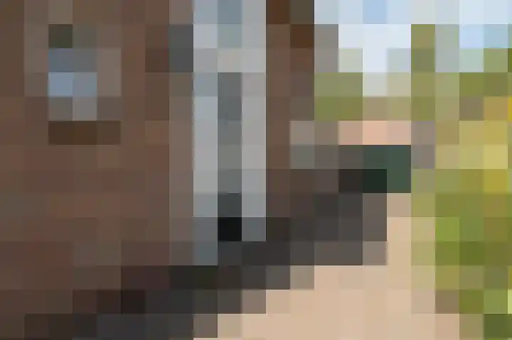 Dr G van Schouwenlaan 21 Heerenveen thumbnail 7
