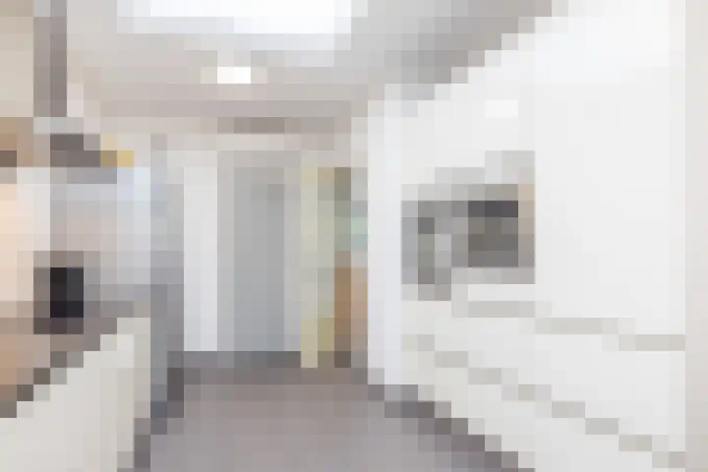 Dr. Goossensstraat 20 Heerlen thumbnail 15