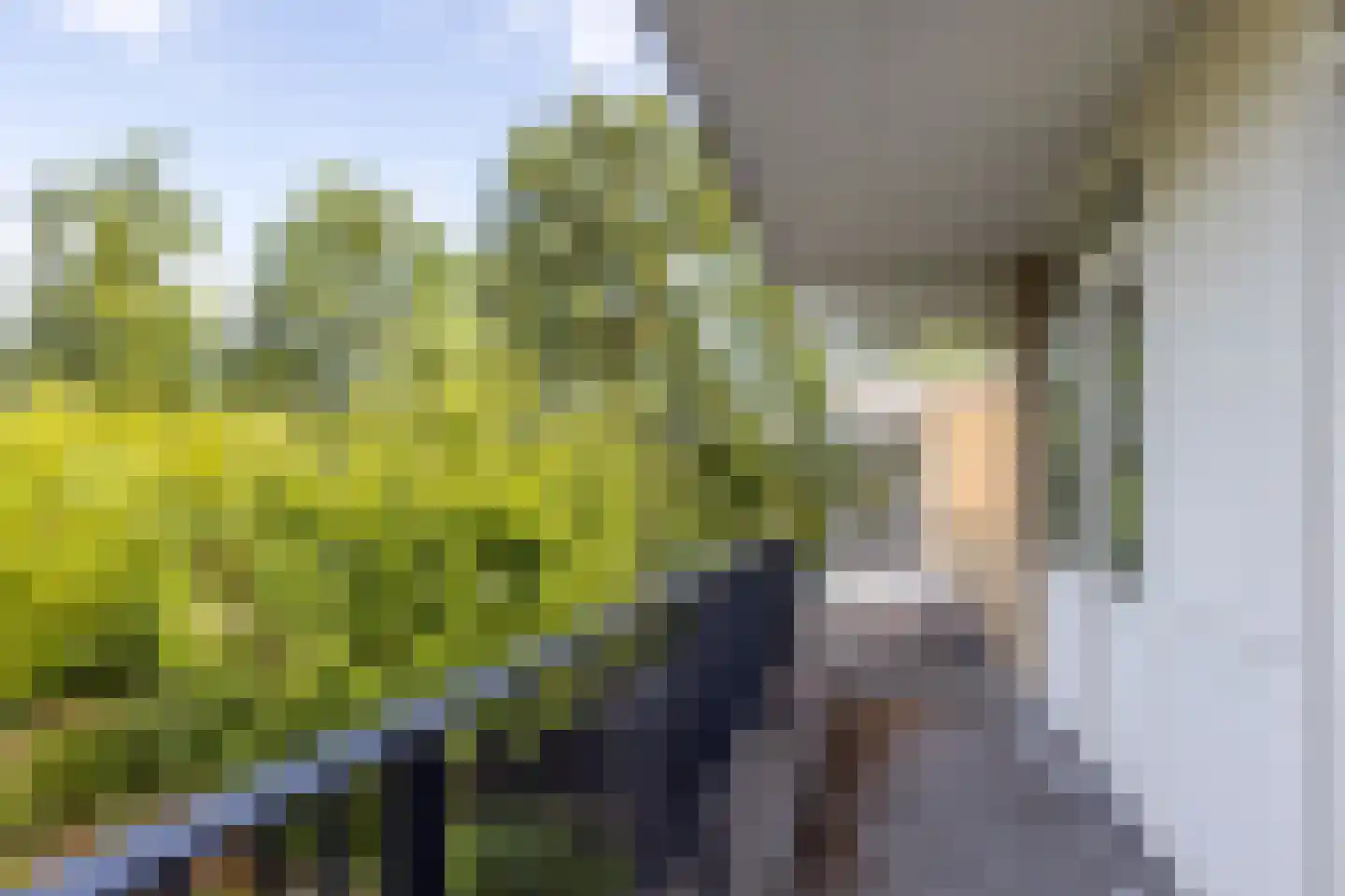 Dr. Goossensstraat 20 Heerlen thumbnail 30