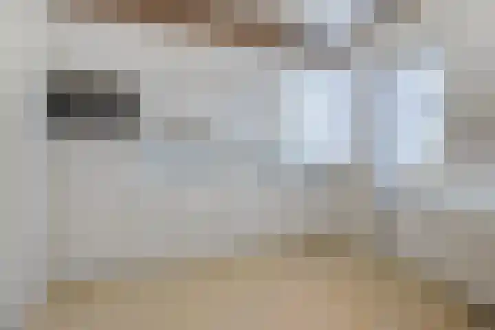 Dr. Gravemeijerstraat 50 Giessenburg thumbnail 12