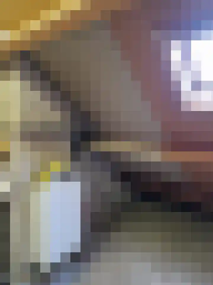 Dr. Gravemeijerstraat 50 Giessenburg thumbnail 32
