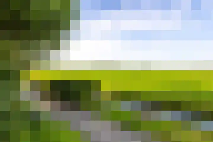 Dr. Gravemeijerstraat 50 Giessenburg thumbnail 33
