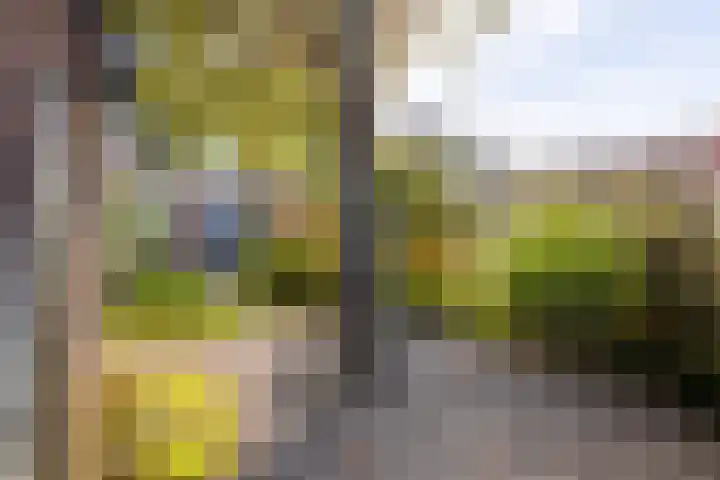 Dr. Gravemeijerstraat 50 Giessenburg thumbnail 35