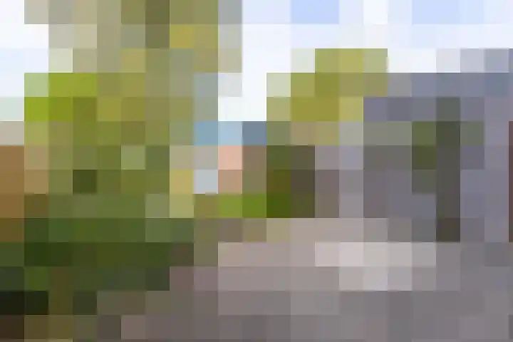Dr. Gravemeijerstraat 50 Giessenburg thumbnail 36