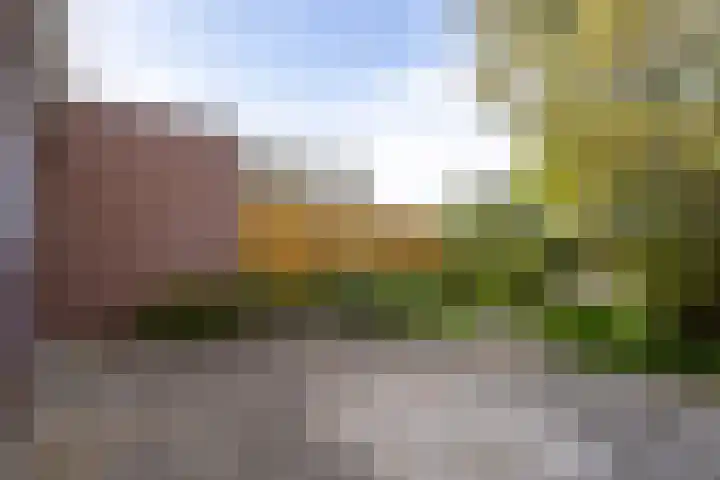 Dr. Gravemeijerstraat 50 Giessenburg thumbnail 37