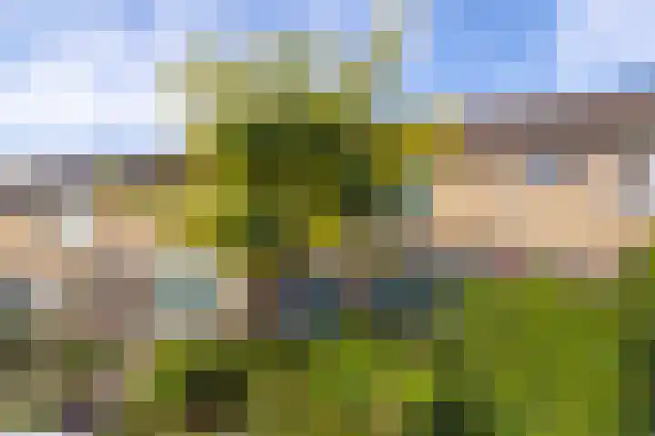 Dr. Gravemeijerstraat 50 Giessenburg thumbnail 41