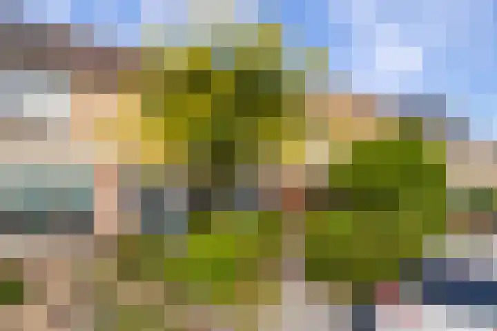 Dr. Gravemeijerstraat 50 Giessenburg thumbnail 43