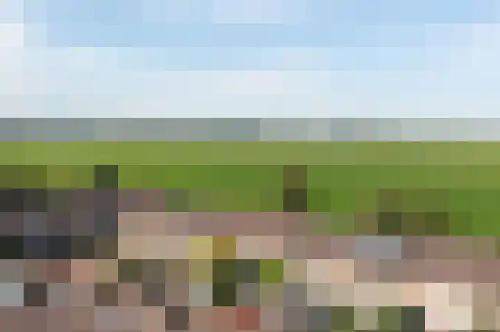 Dr. Gravemeijerstraat 50 Giessenburg thumbnail 47