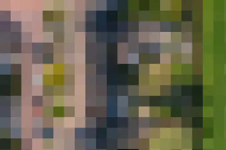 Dr. Gravemeijerstraat 50 Giessenburg thumbnail 50