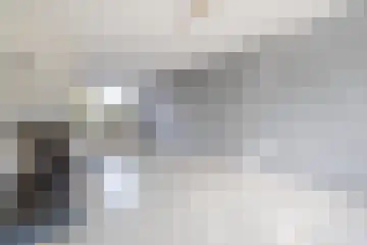 Dr. Gravemeijerstraat 50 Giessenburg thumbnail 8