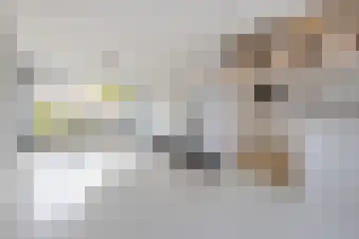 Dr. Gravemeijerstraat 50 Giessenburg thumbnail 9