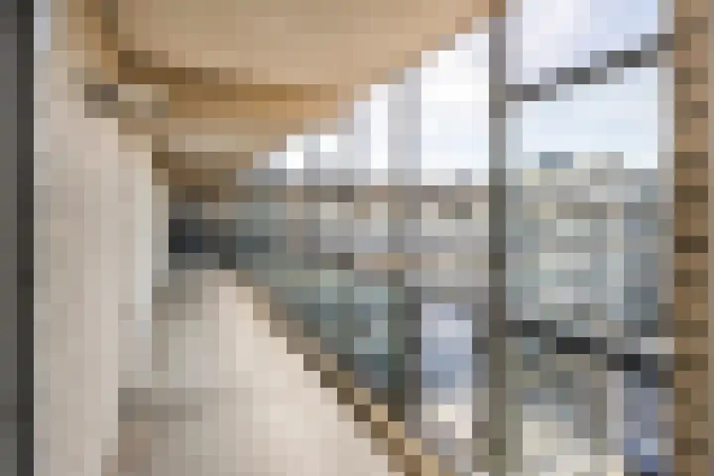 Dr. H.B. Wiardi Beckmanplein 321 Gorinchem thumbnail 23