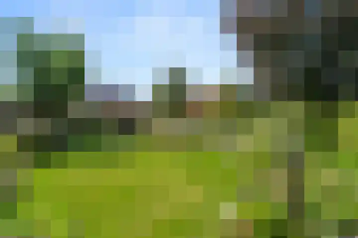 Dr. H.C. Bosstraat 43 Garderen thumbnail 37