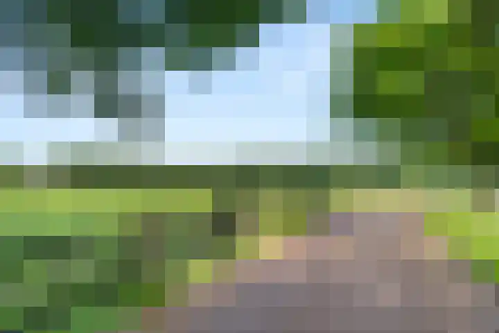 Dr. H.C. Bosstraat 43 Garderen thumbnail 43