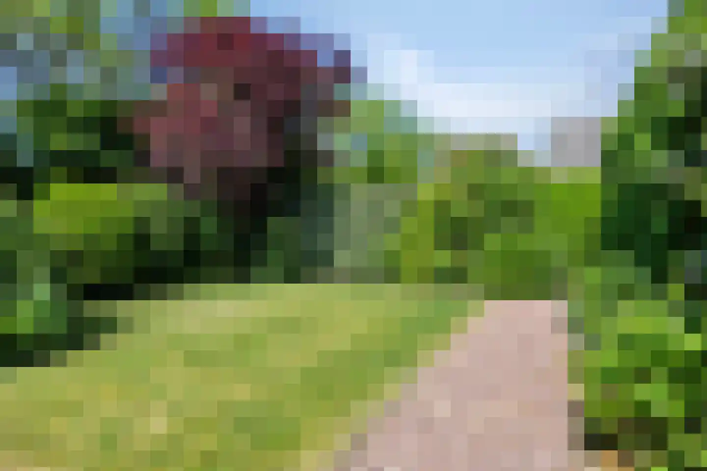 dr. H.C.M. Ghijsenstraat 6 Domburg thumbnail 26