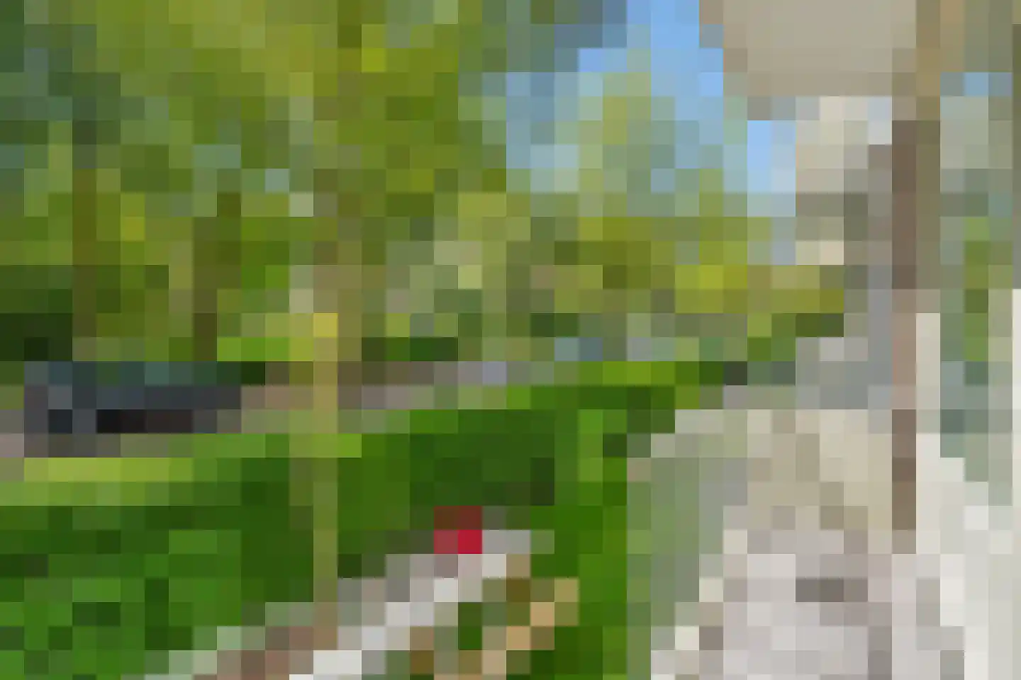 Dr H. Colijnlaan 100 Rijswijk thumbnail 18