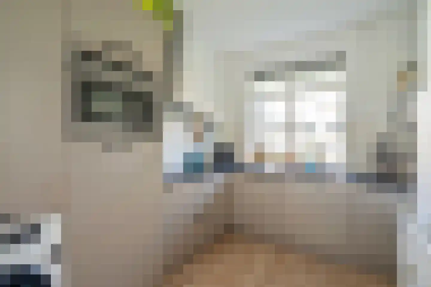 Dr H. Colijnlaan 100 Rijswijk thumbnail 25