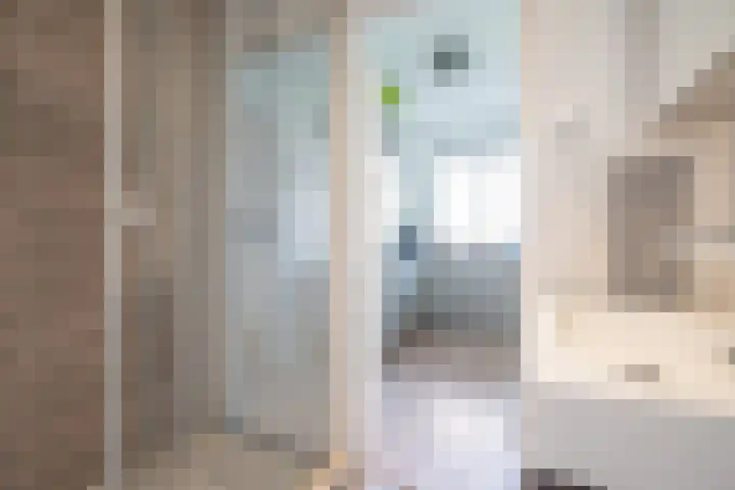 Dr H. Colijnlaan 100 Rijswijk thumbnail 30