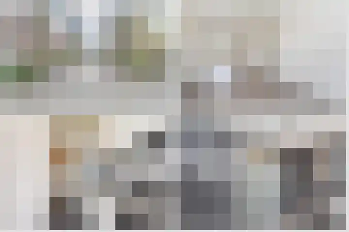 Dr H. Colijnlaan 111 Rijswijk