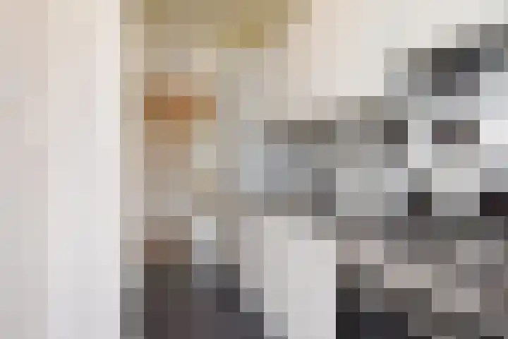 Dr H. Colijnlaan 111 Rijswijk thumbnail 4