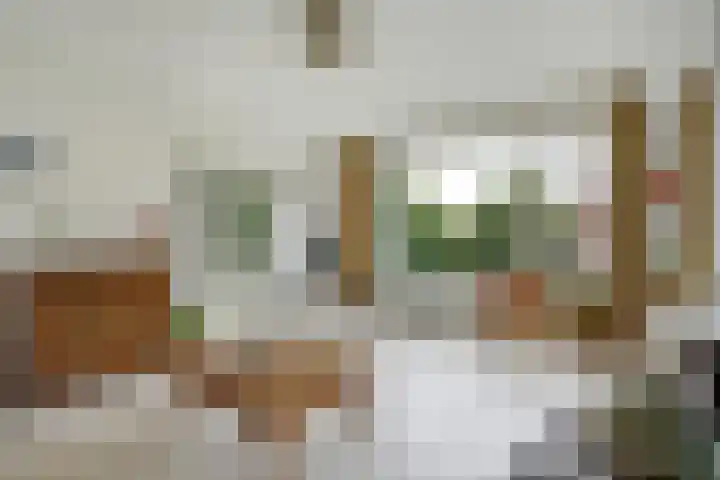 Dr H. Colijnlaan 126 Rijswijk thumbnail 12