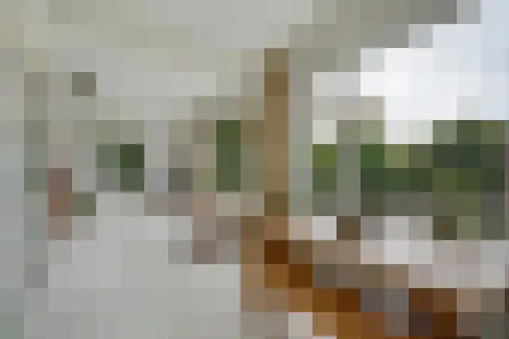 Dr H. Colijnlaan 126 Rijswijk thumbnail 14