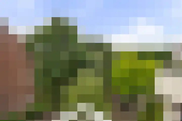 Dr H. Colijnlaan 126 Rijswijk thumbnail 19