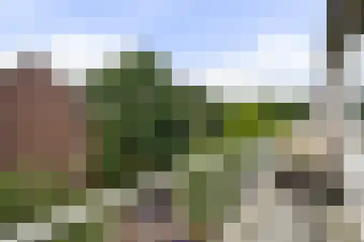Dr H. Colijnlaan 126 Rijswijk thumbnail 20