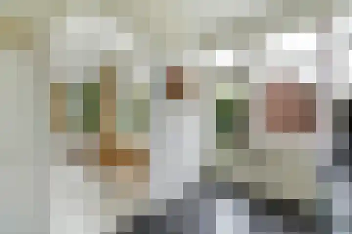 Dr H. Colijnlaan 126 Rijswijk thumbnail 22