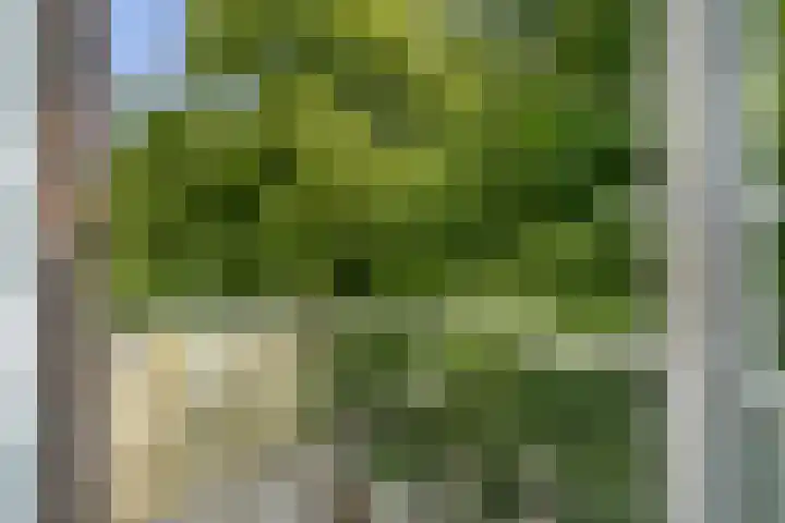 Dr H. Colijnlaan 126 Rijswijk thumbnail 26