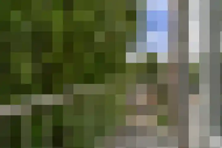 Dr H. Colijnlaan 126 Rijswijk thumbnail 27