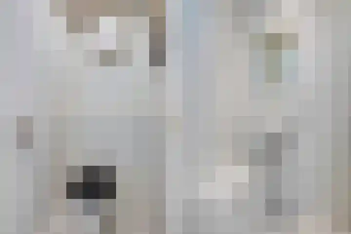 Dr H. Colijnlaan 126 Rijswijk thumbnail 28