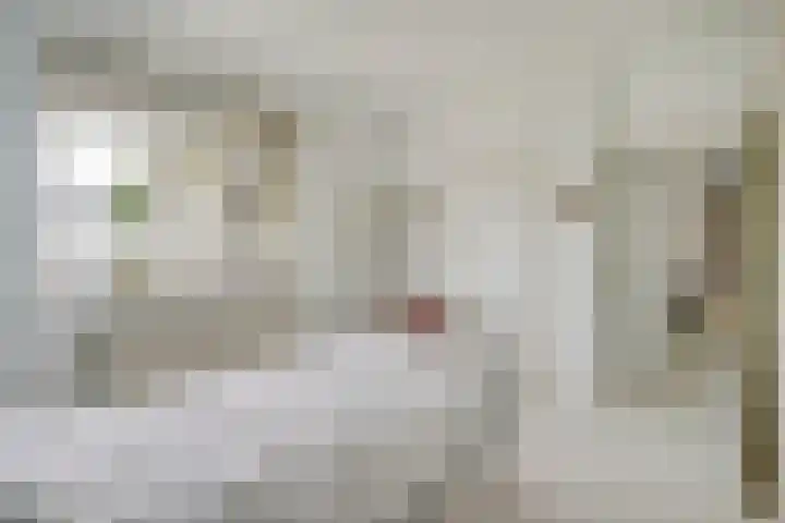 Dr H. Colijnlaan 126 Rijswijk thumbnail 33