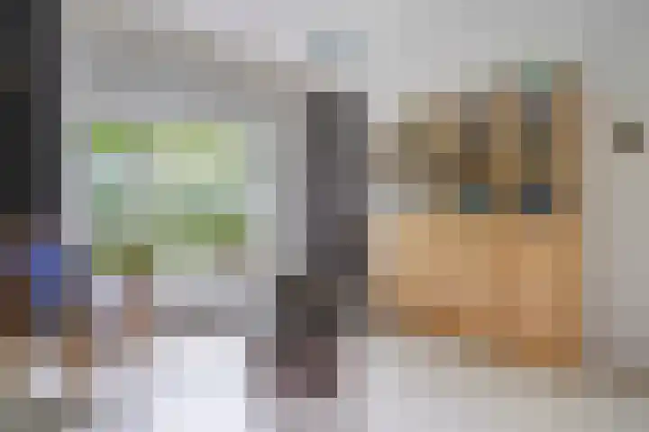 Dr H. Colijnlaan 126 Rijswijk thumbnail 35