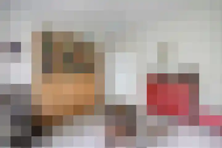 Dr H. Colijnlaan 126 Rijswijk thumbnail 36