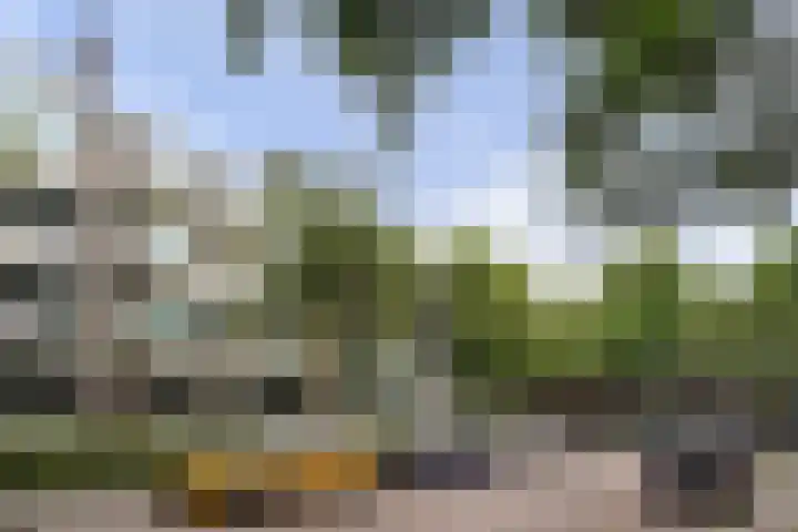 Dr H. Colijnlaan 126 Rijswijk thumbnail 38