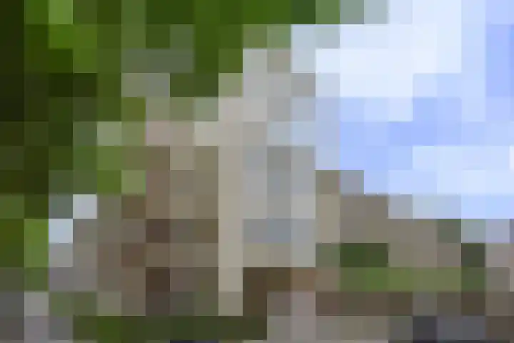 Dr H. Colijnlaan 126 Rijswijk thumbnail 5