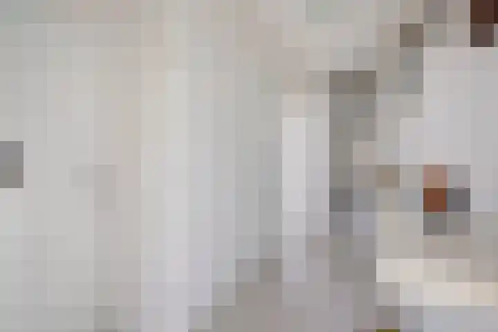 Dr H. Colijnlaan 126 Rijswijk thumbnail 9