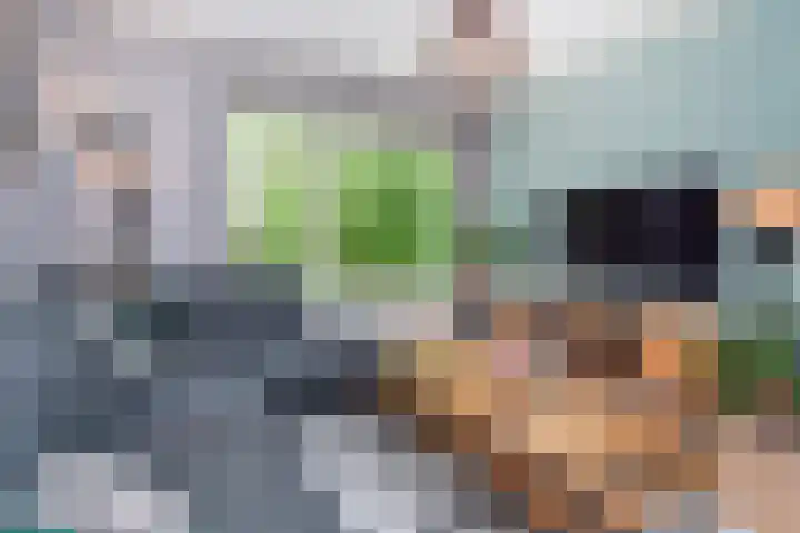 Dr H. Colijnlaan 141 Rijswijk thumbnail 15